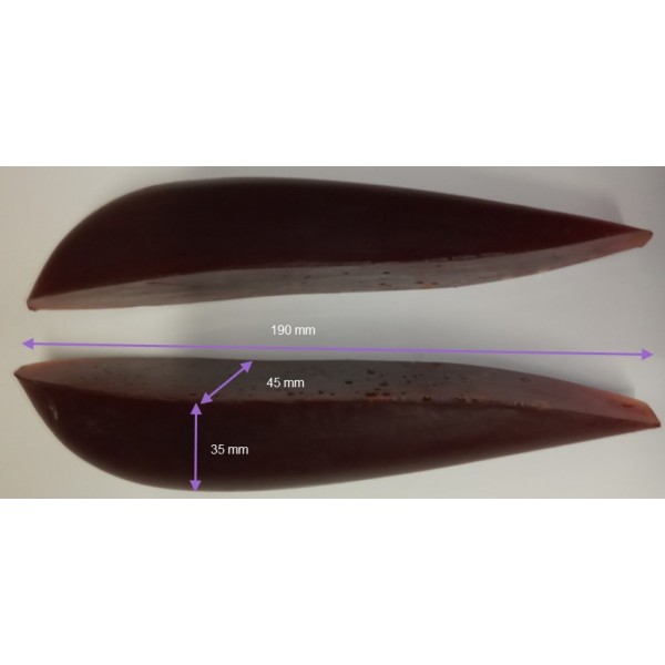 Paire de Patins d'aile Duo Discus
